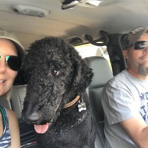 Meet your Posher, Heather